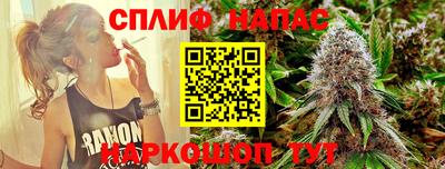дмт Аргун