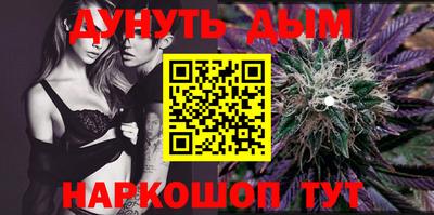 дмт Аргун