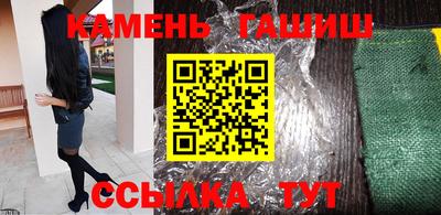 дмт Аргун